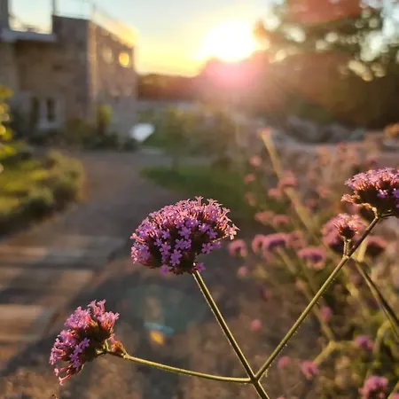 Boutique Osma - Adults Only 4*