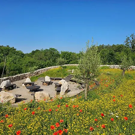 Hotel Boutique Osma - Adults Only