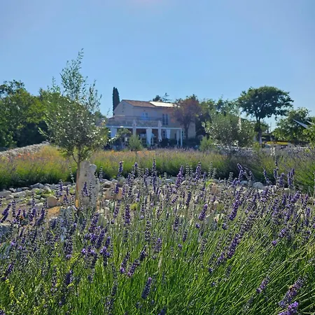 Отель Boutique Osma - Adults Only