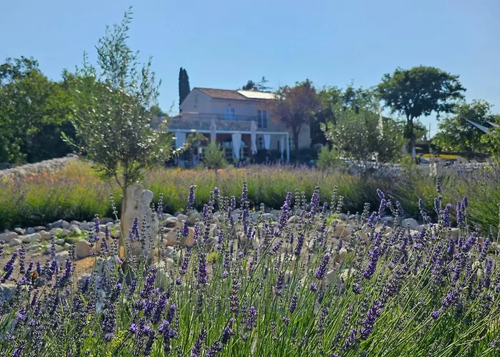 ホテル Boutique Osma - Adults Only