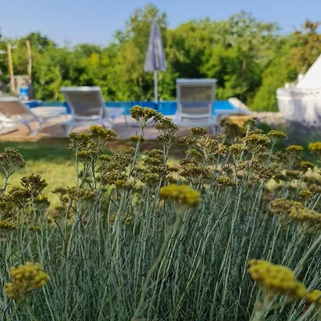 Boutique Osma - Adults Only